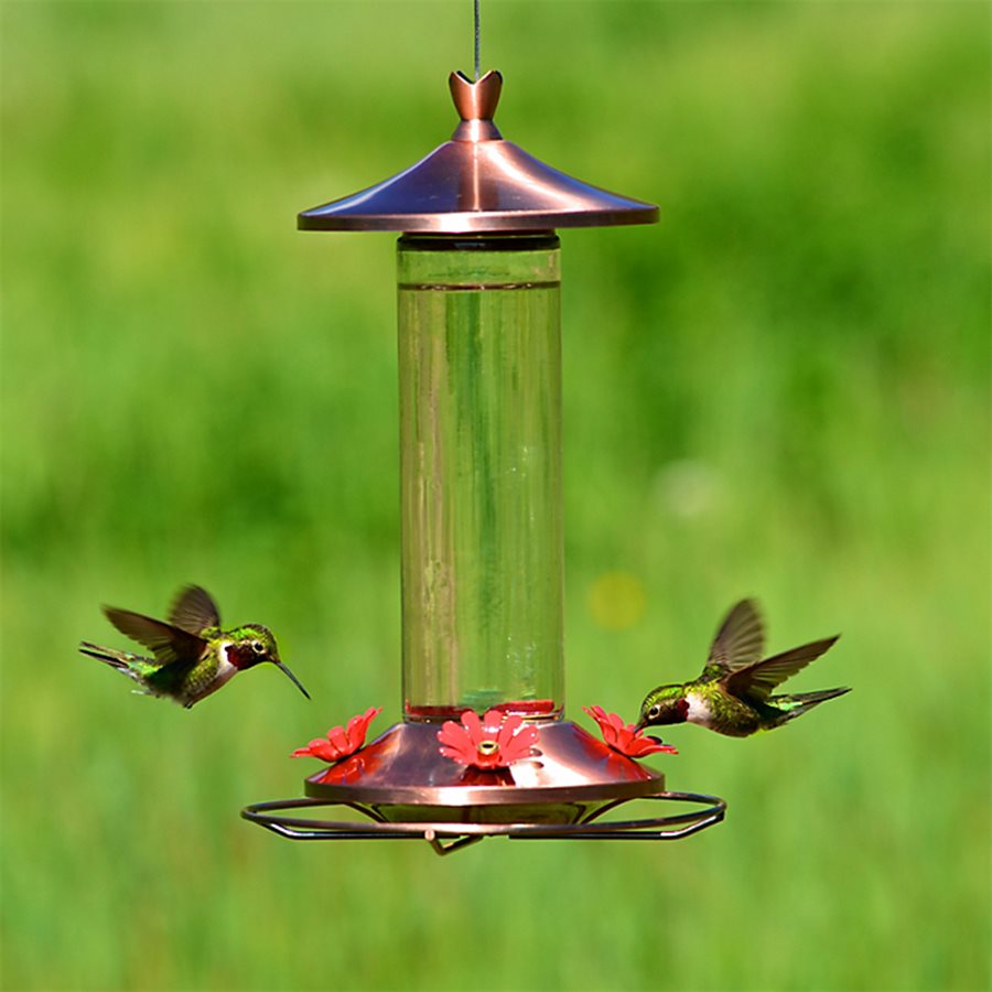 Perky-Pet Mangeoire pour oiseau-mouche en verre et cuivre élégant