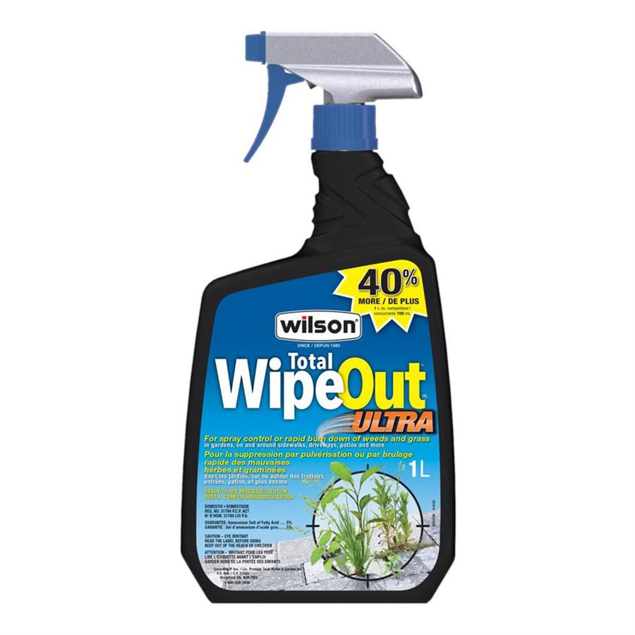 Insecticide pour araignées Wilson SpiderOut intérieur/extérieur, aérosol,  425 g