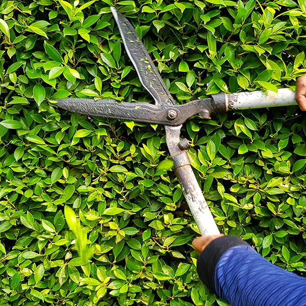 Lawn & Garden