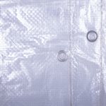 Tarpaulin 5ft x 7ft Clear