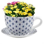 Jardinière Tasse À Thé Avec Soucoupe Étoile Bleue 9in (23cm)