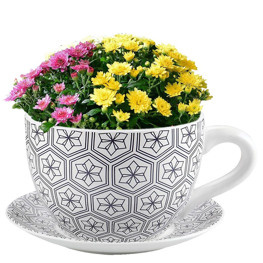 Tea Cup Planter & Saucer Black Hexagons 9in (23cm)