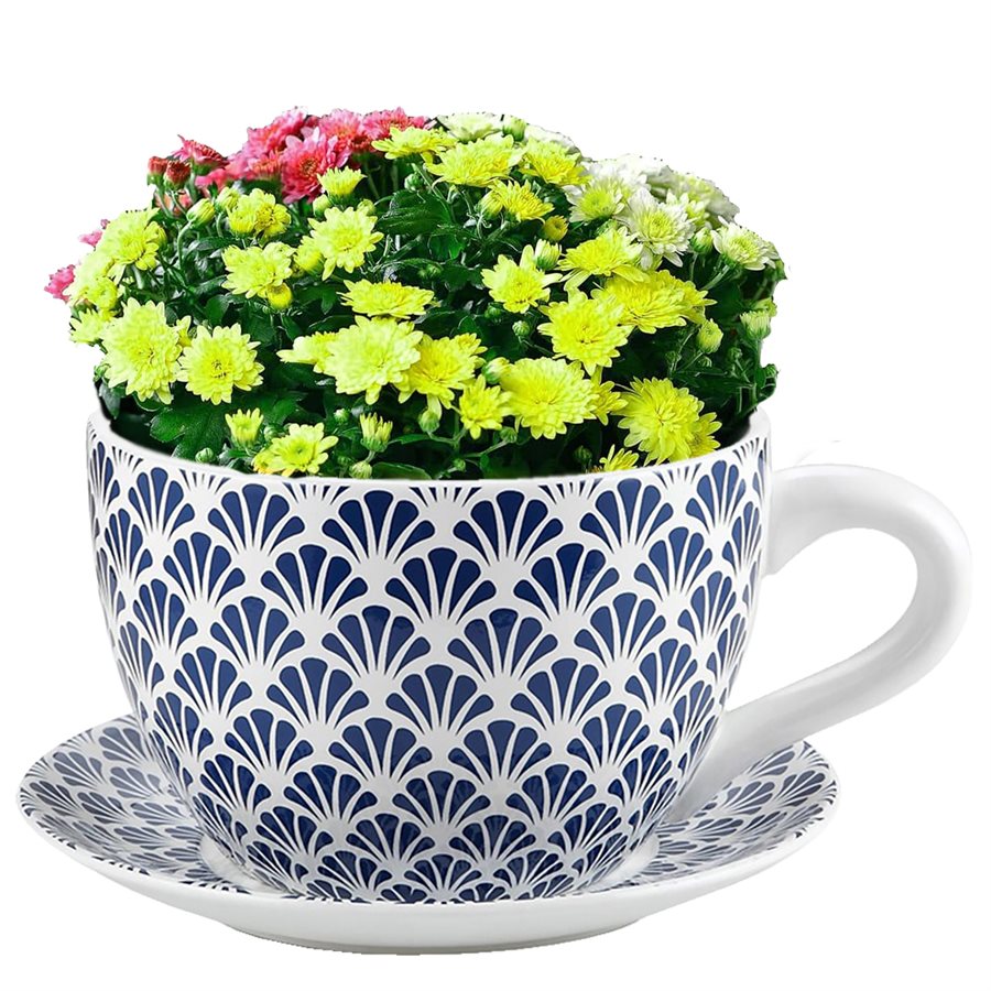 Tea Cup Planter & Saucer Blue Seashells 10in (25.4cm)