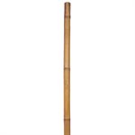 6PC Bamboo Garden Stake 1 / 2 x 60in