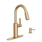 Durani Kitchen Faucet 1 Hdle; High Arc Pull Down Bronzed Gold