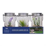 12PK Hanging Glass Succulent Mason Jar Battery Operated Astd